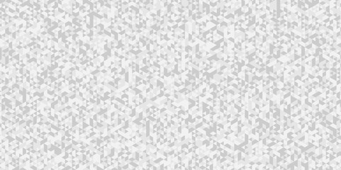 Minimal geometric pattern gray Polygon Mosaic triangle design, business and corporate background. vector surface creative triangular web template design.