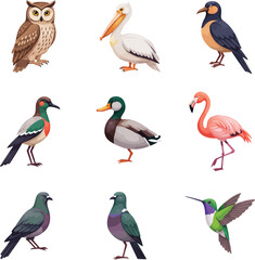 Obraz premium Charming collection of diverse birds including owl, pelican, flamingo, duck, hummingbird, and pigeons.
