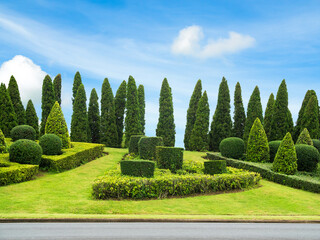 Topiary trees decoration park on blue sky background, green leaves garden plant outdoor spring time nature foliage for tourism travel vacation in holidays, environment ecosystem concept.