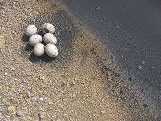Pile of Onsen tamago eggs boiled in hot thermal spring mud
