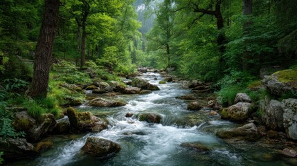 Obraz premium Serene River Flowing Through Lush Green Forest in Tranquil Landscape