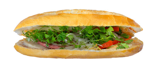 Close up of a banh mi sandwich with meat. Banh mi thit nuong or a vietnamese barbecue pork sandwich. Street food in vietnam	