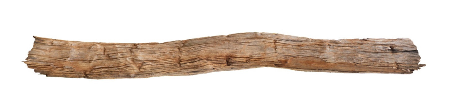 Broken tree branches with detached bark. Rustic wood branch. Weathered driftwood log isolated. Willow log isolate