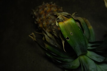 Pineapple: Pineapple is a tropical fruit with spiky skin and sweet, juicy flesh rich in vitamin C...