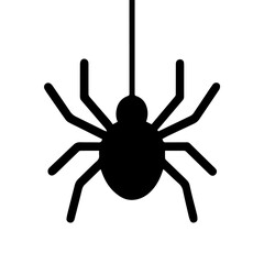 A minimalist flat icon of a black spider hanging on a single thread of web. Clean and bold shape ideal for spooky yet simple design needs.