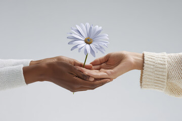during domestic violence awareness month powerful visual symbolizes support hands gently lifting flower against