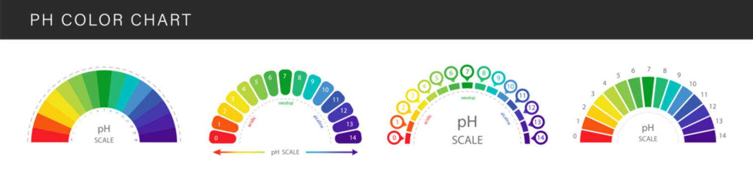 PH value Scale. Set of Color charts with pH level. Scale indicator for litmus paper test. Vector illustration isolated on white background.