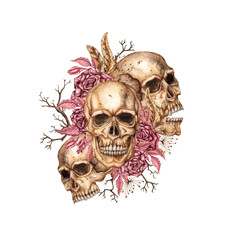 Skulls with dark red roses, dried flowers, feathers and branches watercolor illustration. Bones in gothic style. Day of the Dead, Halloween, Dia de los muertos. Isolated. Symbolism of life and death.