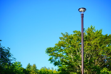 青空と緑豊かな木々に囲まれた公園の街灯が美しく映える夏の風景写真