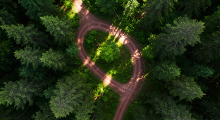 Aerial view of a winding forest road