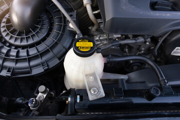 Part of automotive coolant system. Fluid reservoir bottle with cap for filling. Component in engine cooling. Concept of auto service check, vehicle care, performance maintenance and automotive product