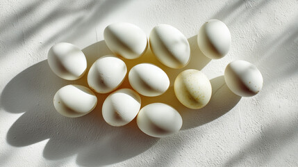 neat arrangement of raw duck eggs on white surface