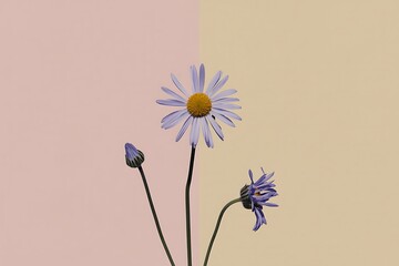 Delicate purple daisies bloom against a soft pastel background