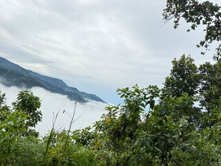 Scenic Mountain Landscape with Lush Green Forest and Misty Valleys, Nature Photography 2025