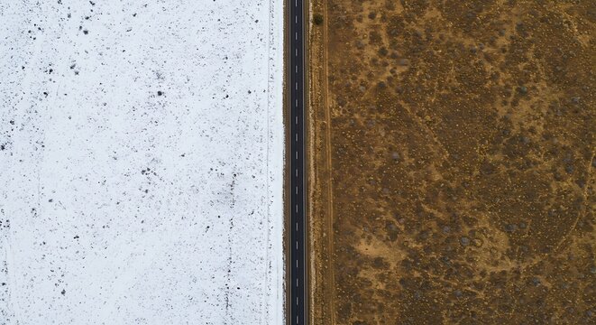 白と褐色の対照：鳥瞰図