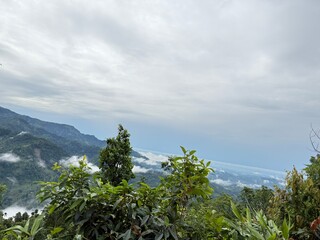 Scenic Mountain Landscape with Lush Green Forest and Misty Valleys, Nature Photography 2025