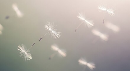 Naklejka premium Delicate dandelion seeds float gracefully on a gentle breeze against a soft, pastel-colored background.