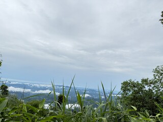 Scenic Mountain Landscape with Lush Green Forest and Misty Valleys, Nature Photography 2025