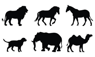 Silhouette vector set of wild and domestic animals including lion, horse, mule, dog, elephant, and camel. Perfect for educational, wildlife, or decorative design projects.