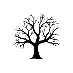 Silhouette of a bare tree with intricate branches against a white background
