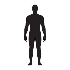 Human Body Silhouette Vector Isolated Background