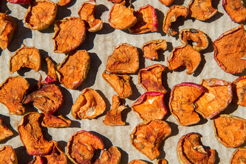 Dried apples in the sun. Natural dried fruits.