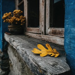 Single yellow leaf rests on weathered window sill