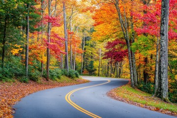 Obraz premium Winding road through autumn forest with vibrant colorful trees, fallen leaves, and natural beauty, creating a scenic, seasonal, and peaceful outdoor landscape for travel and nature themes.