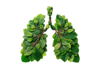 Lungs formed from vibrant green leaves, creating a symbolic image of healthy breathing and nature