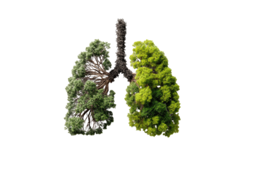 Lungs formed from intertwined trees, one side dark, one vibrant green.  Visually represents environmental health or lung health
