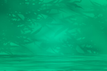 Wall interior background, studio and backdrops show products. with leaf shadow leaf from window color green and white. background for text insertion and presentation of product	