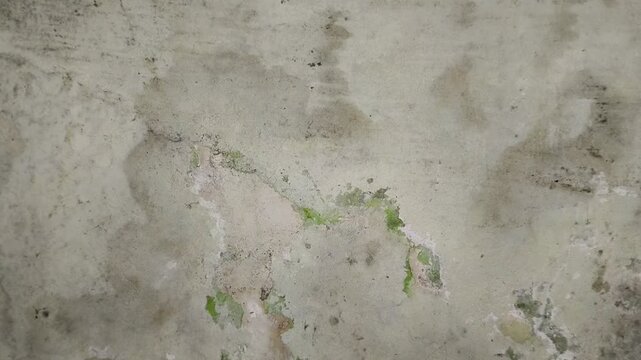 the walls of the house are damp due to rainwater seepage