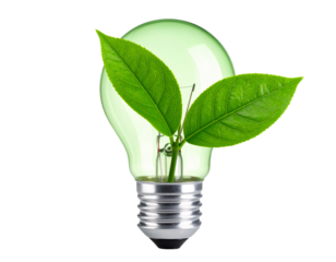 bulb with green leaf isolated