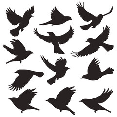 Obraz premium Dynamic silhouettes of birds in flight conveying freedom, nature, and elegant design elements