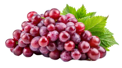 red grapes isolated on white