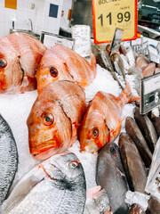 Fresh fish selection displayed on ice in seafood market stall during busy shopping hours