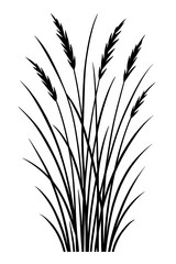 Vector Illustration of Tall Grass or Reeds - Nature and Landscape Graphic
