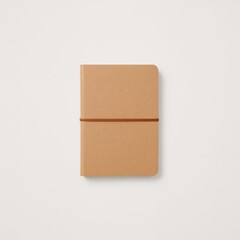 Obraz premium open cardboard box