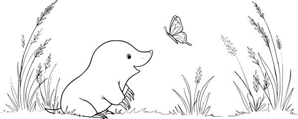 Obraz premium a cute mole watching a butterfly, simple line drawing, clear outlines, single line width, no fill color, black and white