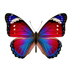 Vibrant red and blue butterfly with intricate wing patterns