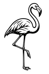 Fototapeta premium Flamingo Standing - Elegant Tropical Bird Symbol