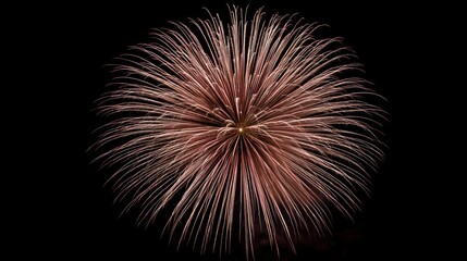 Fototapeta premium Exploding fireworks in the night sky