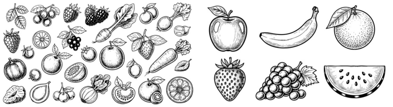 Assorted fruits and vegetables sketches vector art. Food illustration, healthy eating, organic, raw, diet, fresh, grocery, agriculture, market produce.