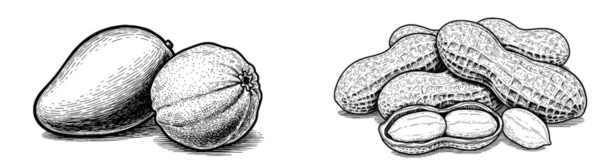 Mango and mandarin fruit with peanuts in shells. Healthy food, snack, vegetarian diet, nutrition, vitamins, organic, tropical, fresh.