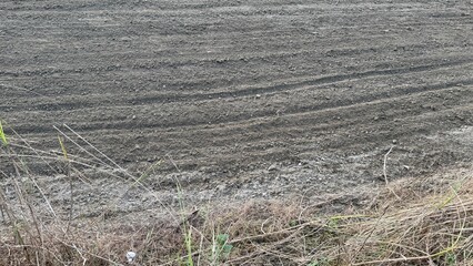 Freshly tilled rich soil exhibits deep furrows, offering a textural view along with sparse vegetation