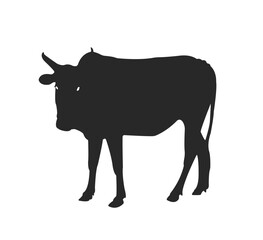 Buffalo icon vector illustration image