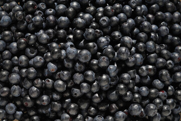 Blueberries. Ripe Forest Blueberries Closeup Background. Antioxidant Vitamin Superfood.    