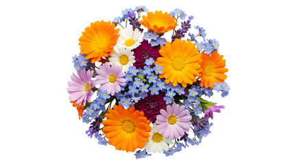 colorful flower collection top view set on transparent background PNG file