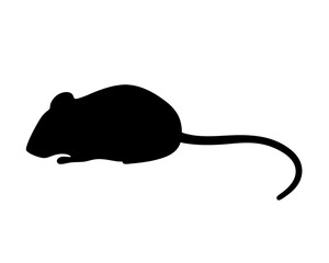 Silhouette image depicting a small black rodent on a white background