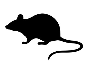 Silhouette of a Rat Depicting a Rodent Pest Commonly Found in Dwellings